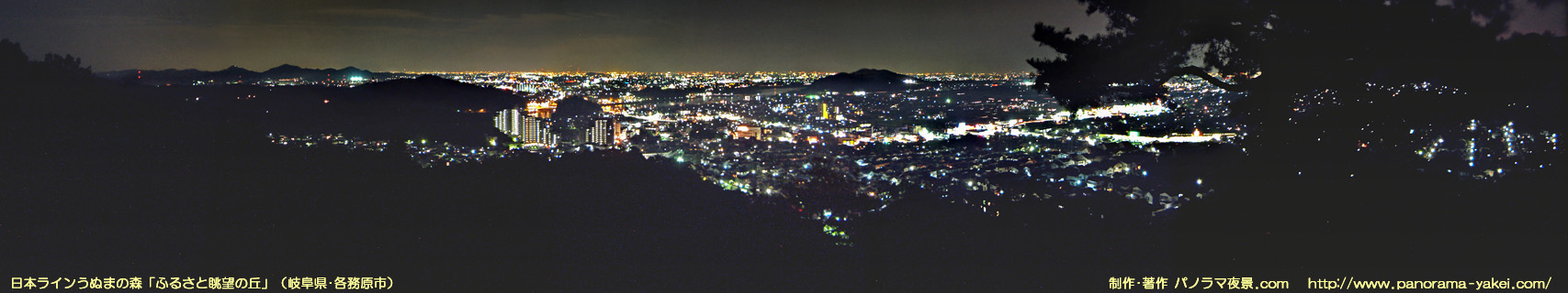 日本ラインうぬまの森「ふるさと眺望の丘」からのパノラマ夜景写真
