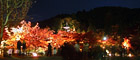 多宝塔と紅葉ライトアップのパノラマ夜景写真（2）
